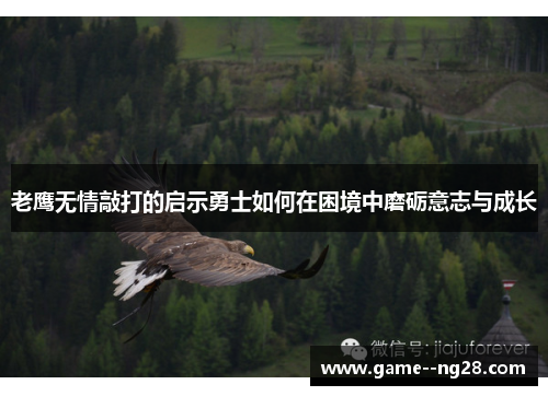 老鹰无情敲打的启示勇士如何在困境中磨砺意志与成长